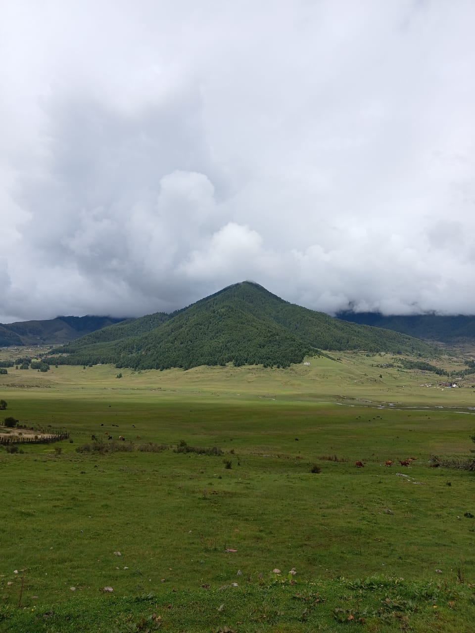 05 Nights / 06 Days Classic Bhutan Cultural Tour